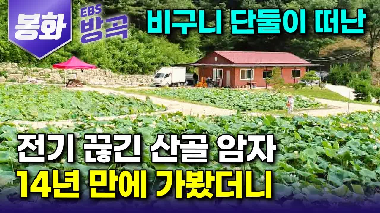 봉화산사 스님의 꽃밭과 수행 이야기