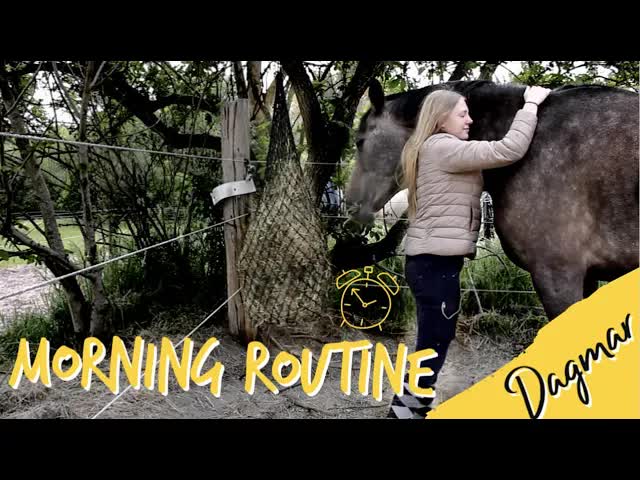 Ochtendroutine met paarden en konijnen