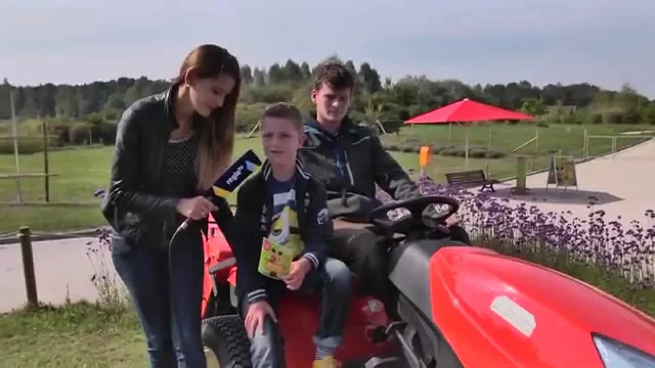 Warum wird der Rasen im Herbst nicht gemäht?