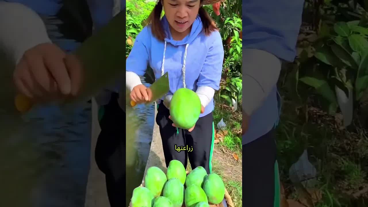 لماذا لا تُباع هذه المانجو اللذيذة؟