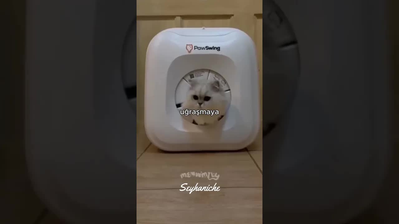 Kedinizi Otomatik Taranan Akıllı Sistem