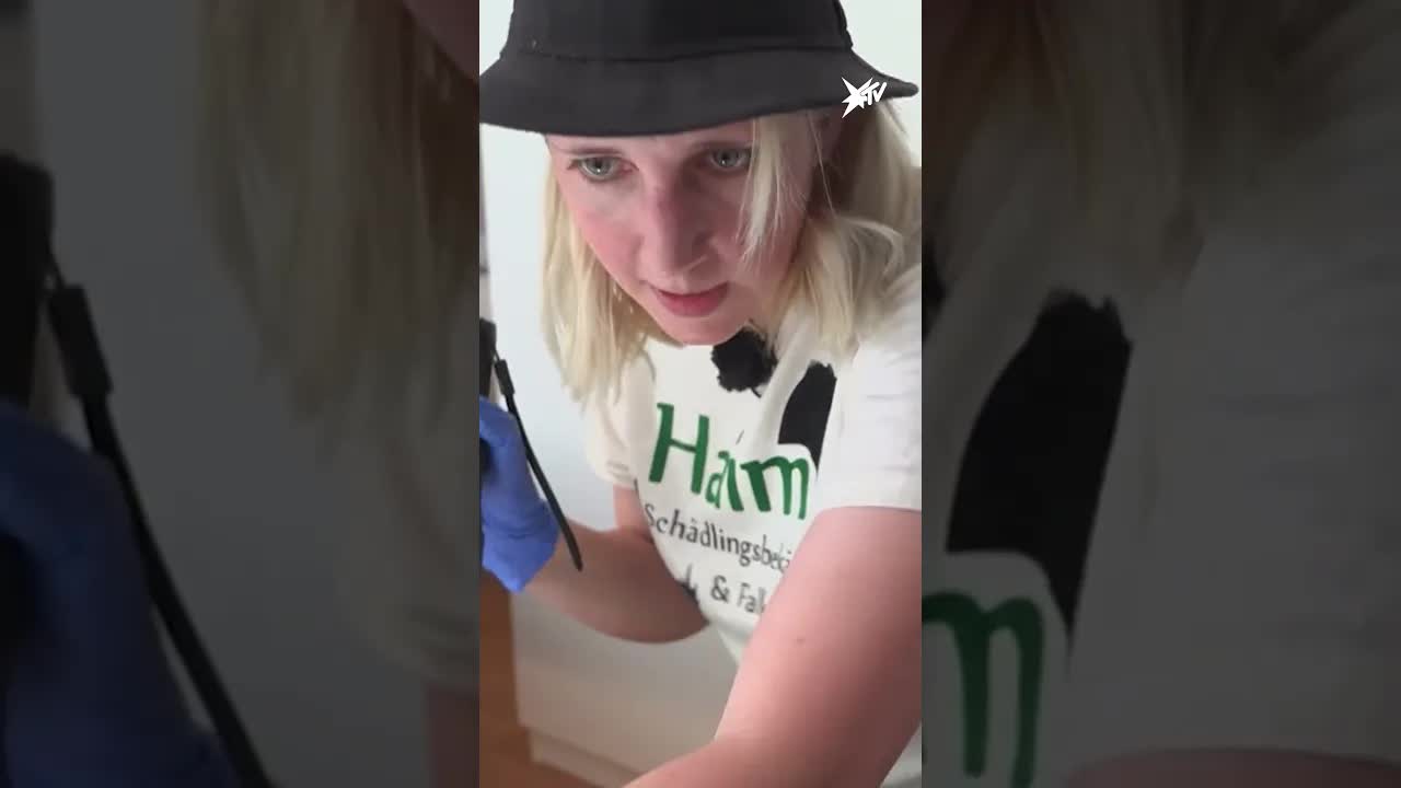 Bettwanzenbefall mit Spürhund aufgedeckt