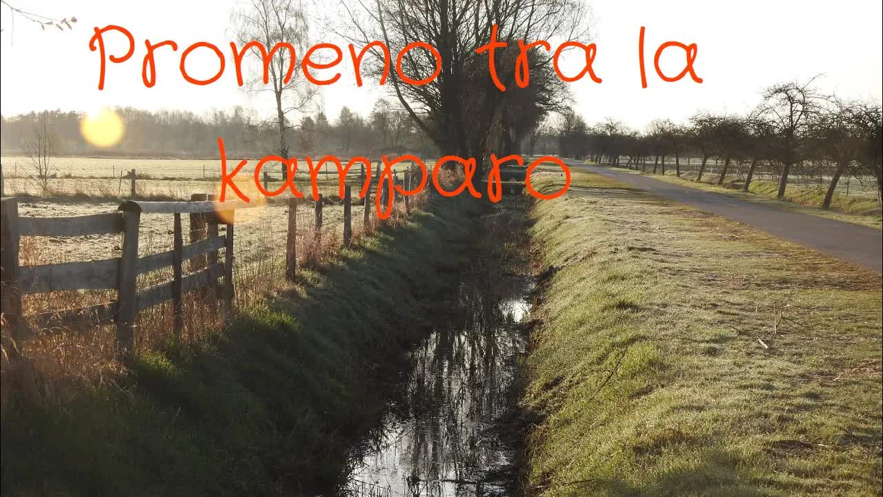 Matena promenado kun leporoj kaj kapreoloj