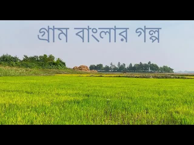 জীবনানন্দ দাশের কবিতার সারমর্ম
