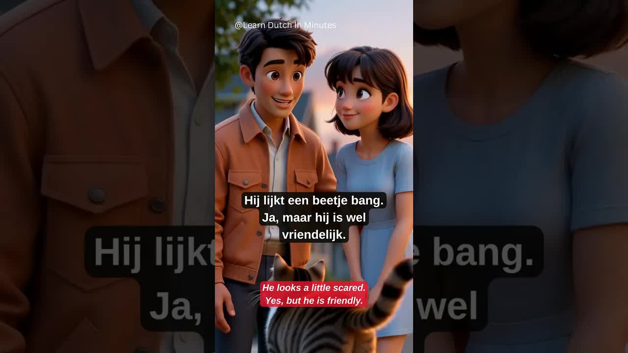 Een gevonden kat helpen
