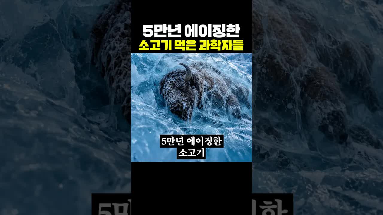 5만 년 된 소고기를 먹은 과학자들의 이야기
