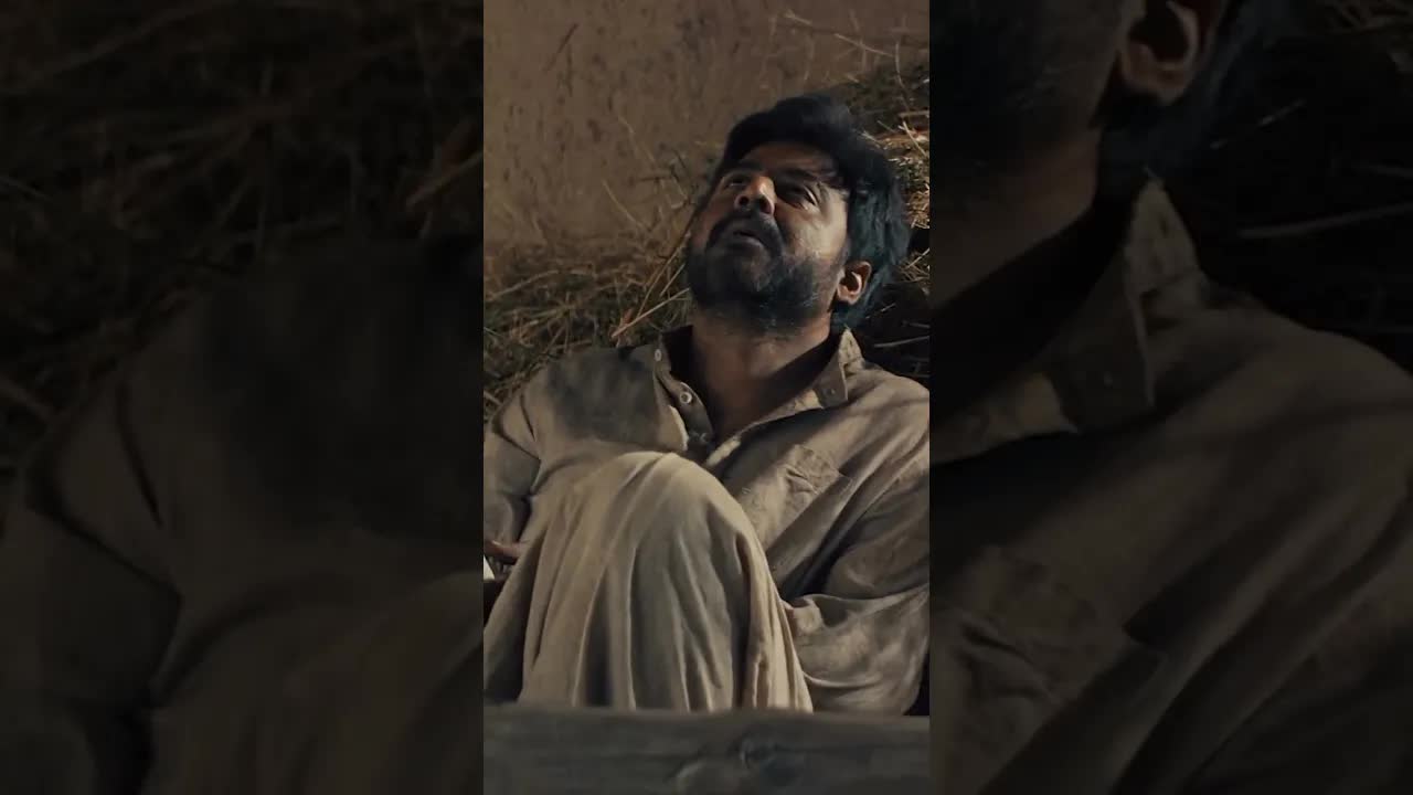 একটা পাখি মনের কোণে ডানা ঝাপটায়