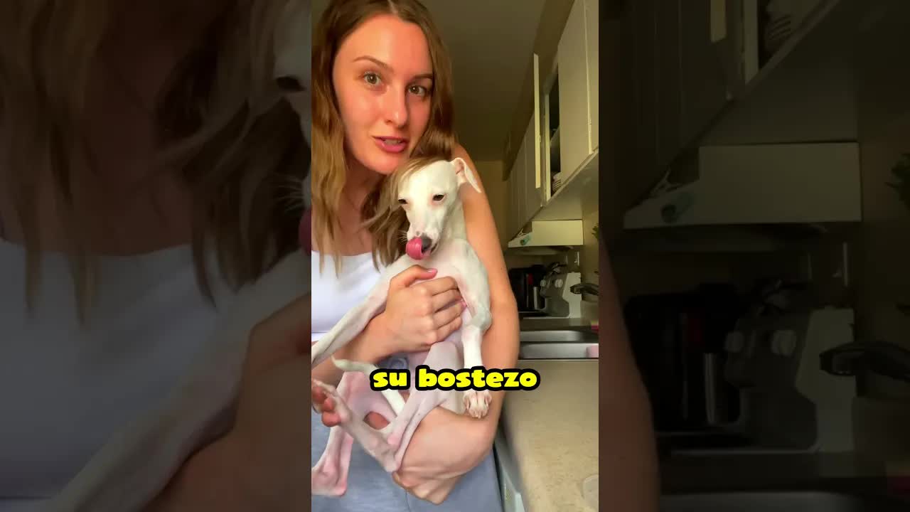 Este perro hace un sonido raro al bostezar