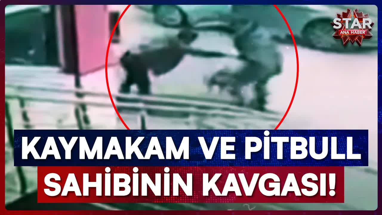 Kaymakam ve Pitbull Olayı: Yeni Görüntüler Ortaya Çıktı