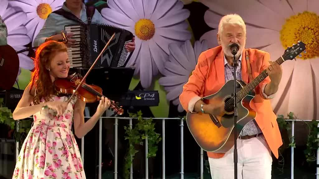 Hasse Andersson - Guld och gröna skogar