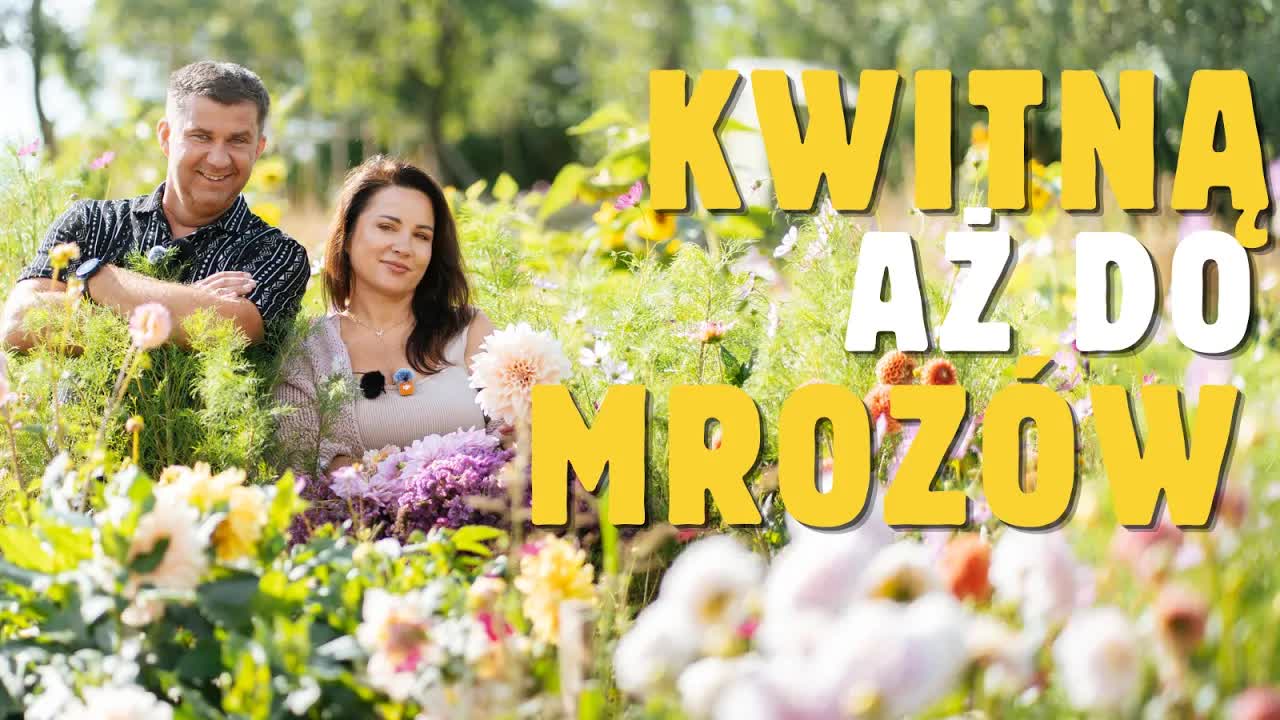 Spacer po rustykalnym ogrodzie i bukiet za 0 zł
