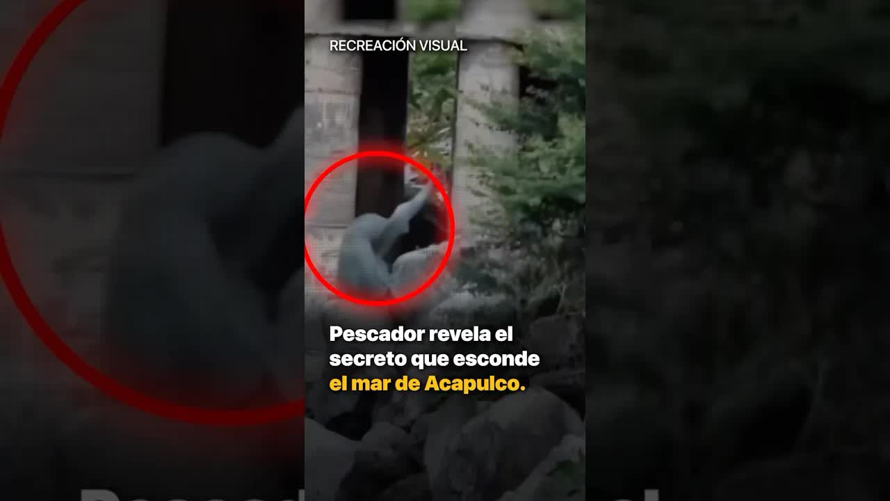 Pescador cuenta sobre sirenas en Acapulco