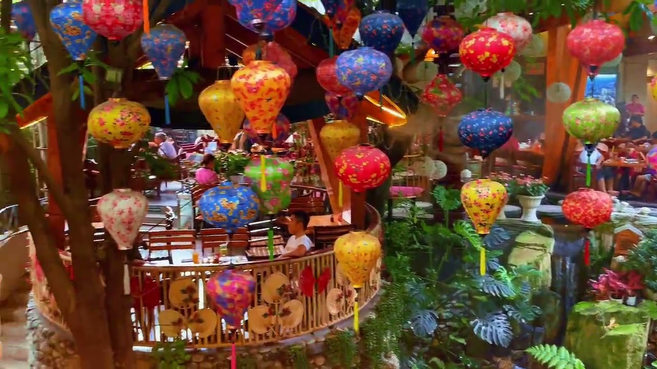 Khám Phá Quán Cà Phê Xanh Mát Giữa Lòng Sài Gòn