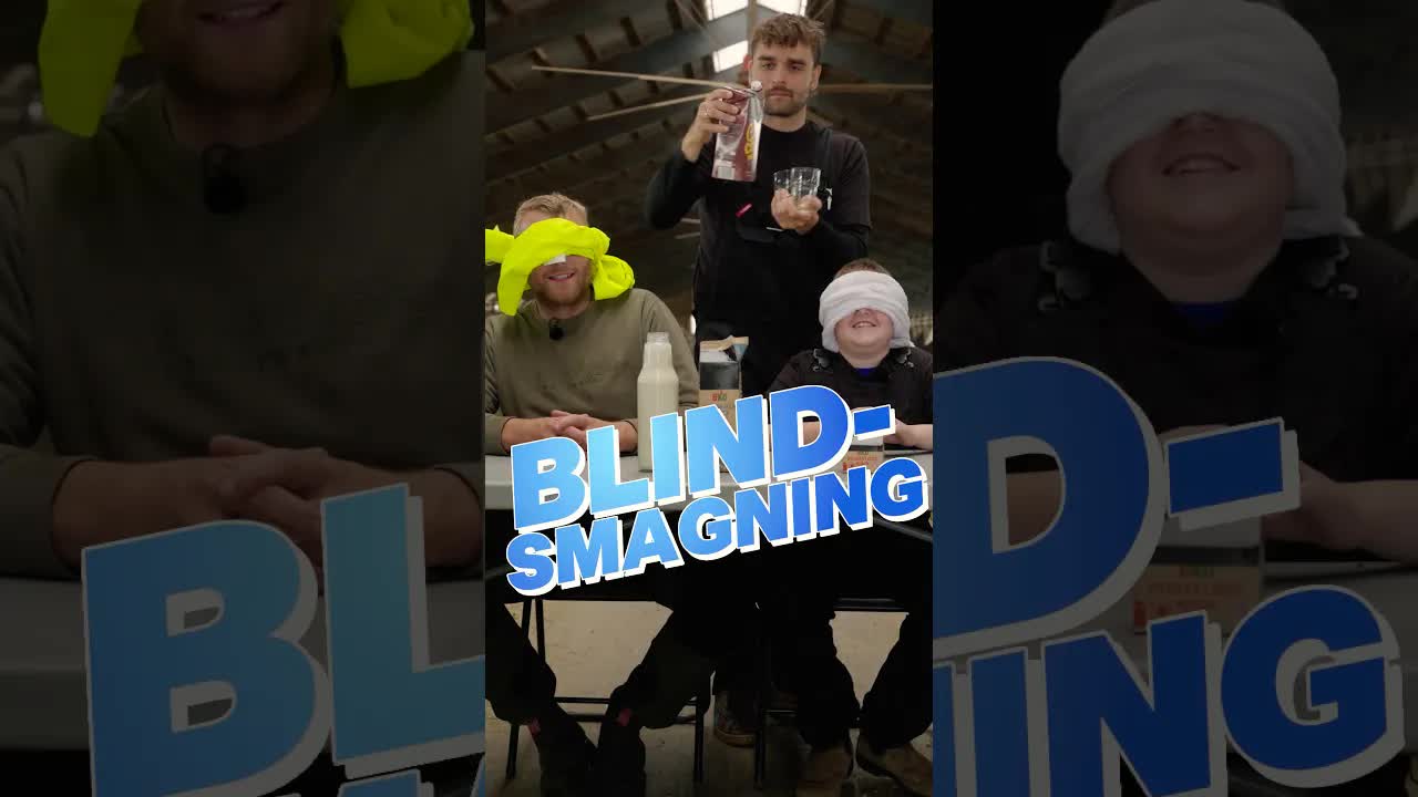 Blindsmagning af forskellige mælkeprodukter