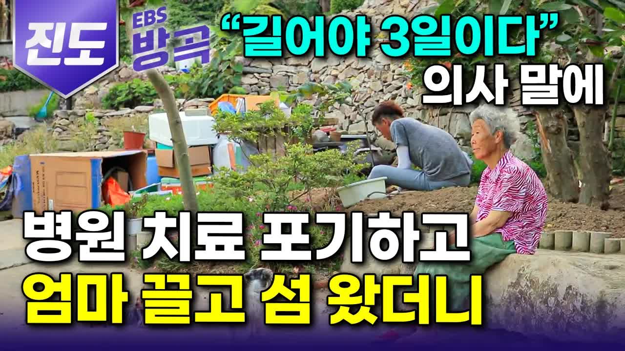 서거차도 어머니와 아들의 이야기