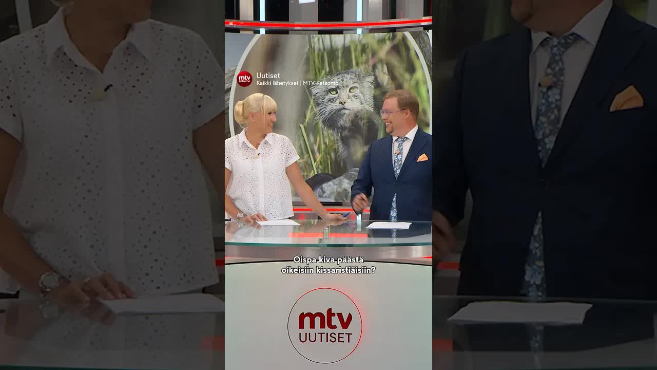 Manulien näkeminen ja kissan ristiäiset