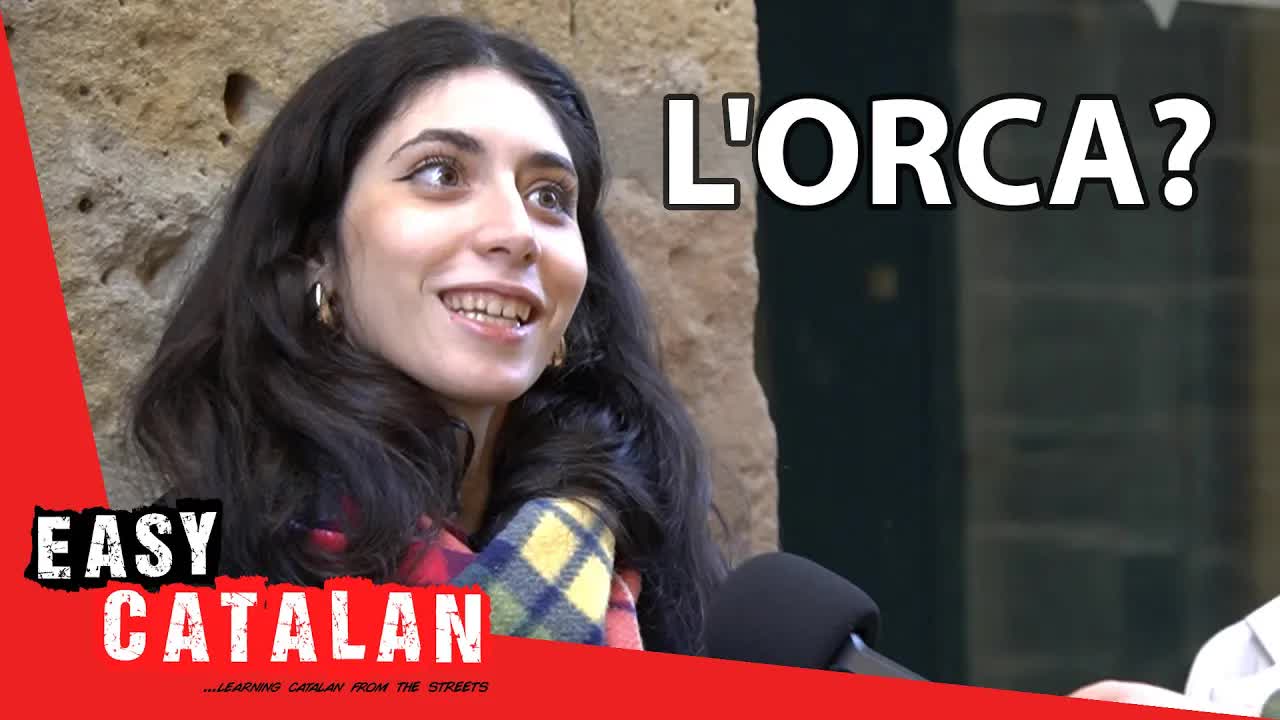 Quin és el teu animal preferit?