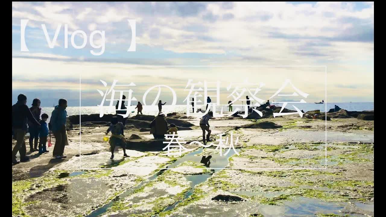 春から秋の海観察会：生物と環境について