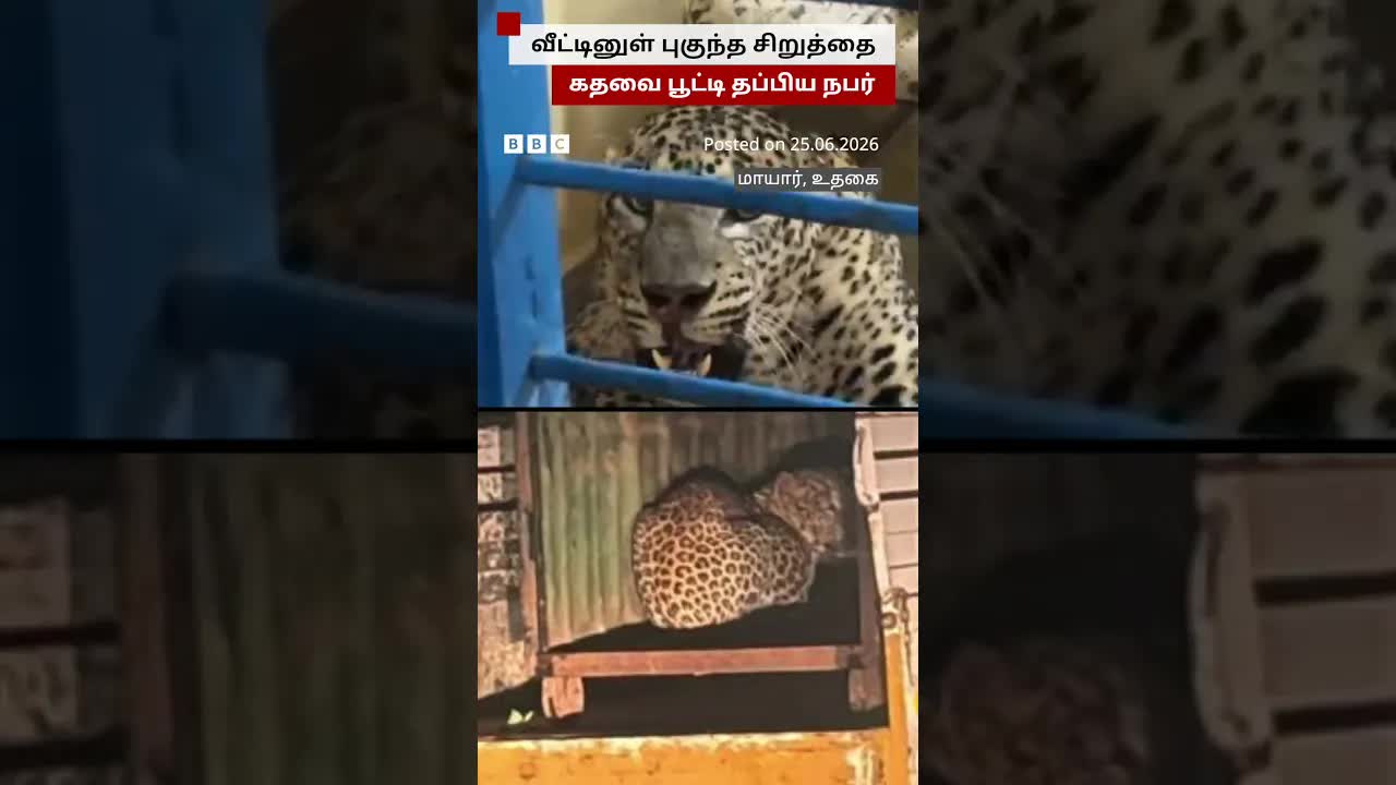 ஊட்டி அருகே வீட்டுக்குள் புகுந்த சிறுத்தை சம்பவம்