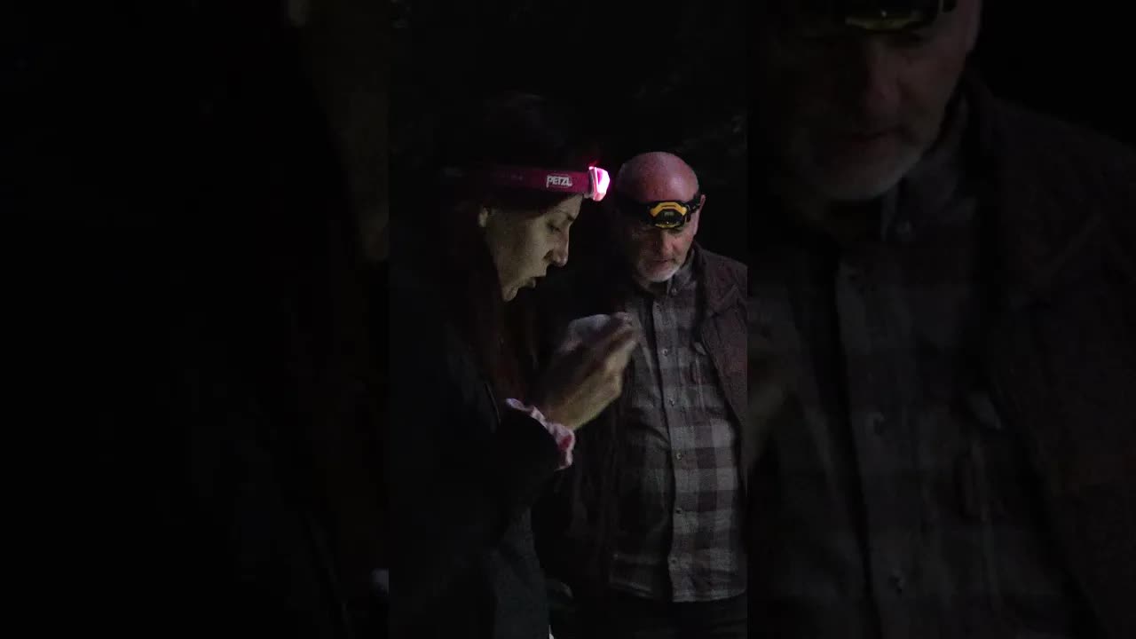Noćni alarm i medved u zamci