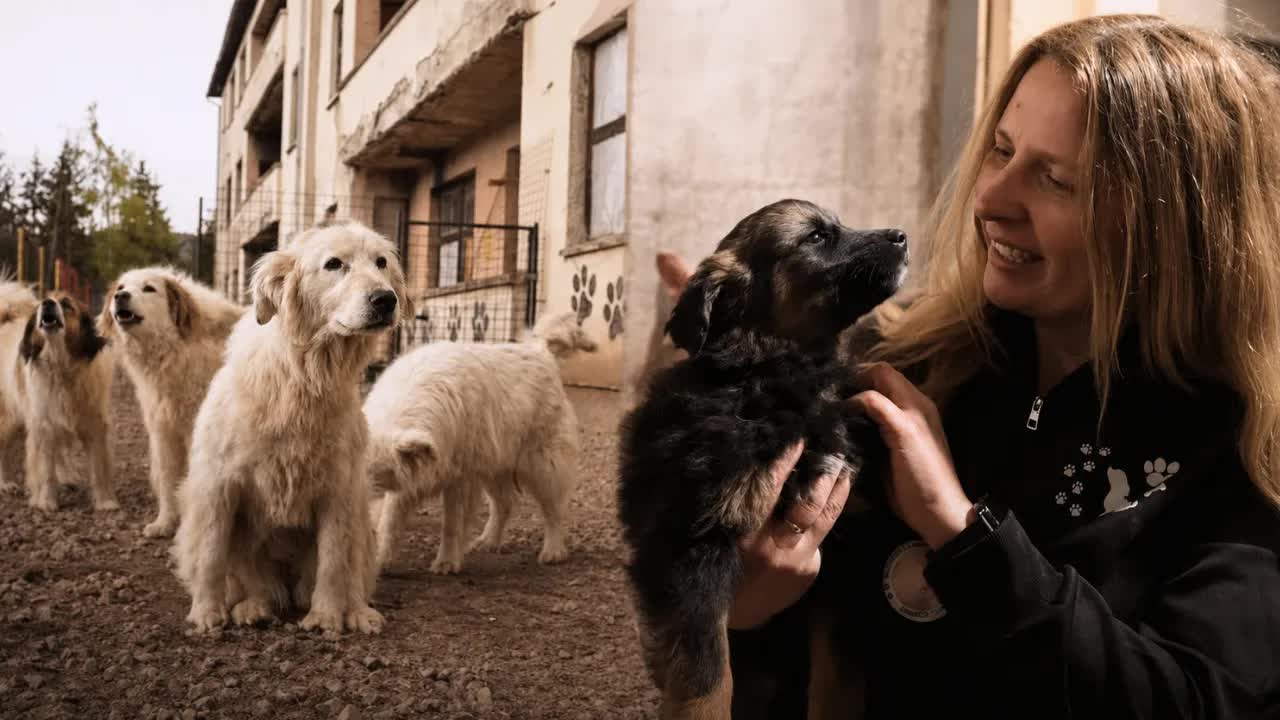 Humana briga za napuštene pse u Varešu