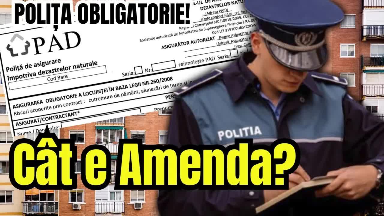 Tot ce trebuie să știi despre asigurarea PAD