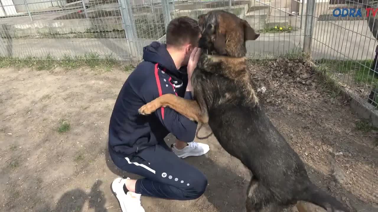 Mateusz Kuchta apeluje o adopcję zwierząt ze schroniska