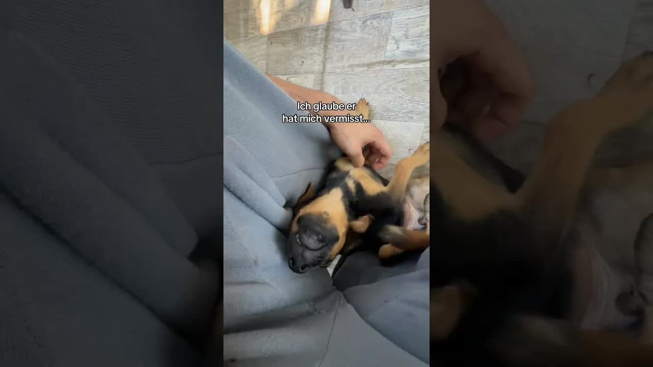 Wie kann man solche Babys aussetzen?
