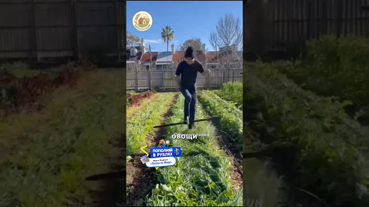 Как вырастить овощи без сорняков с помощью плёнки