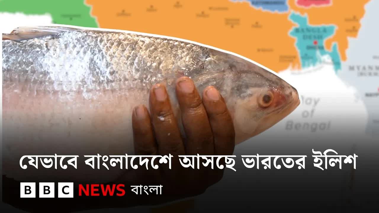 ভারত থেকে বাংলাদেশে ইলিশ আমদানির রহস্য