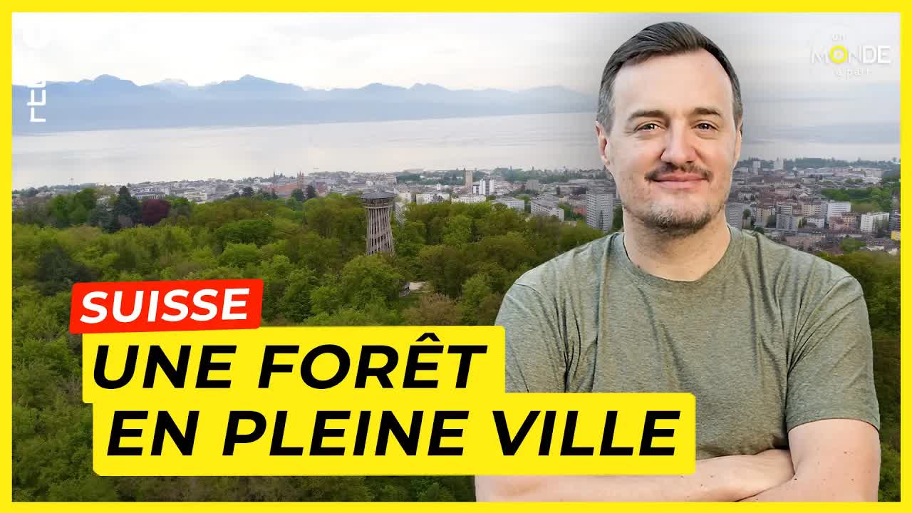 Découvrir la forêt Sauvabelin à Lausanne