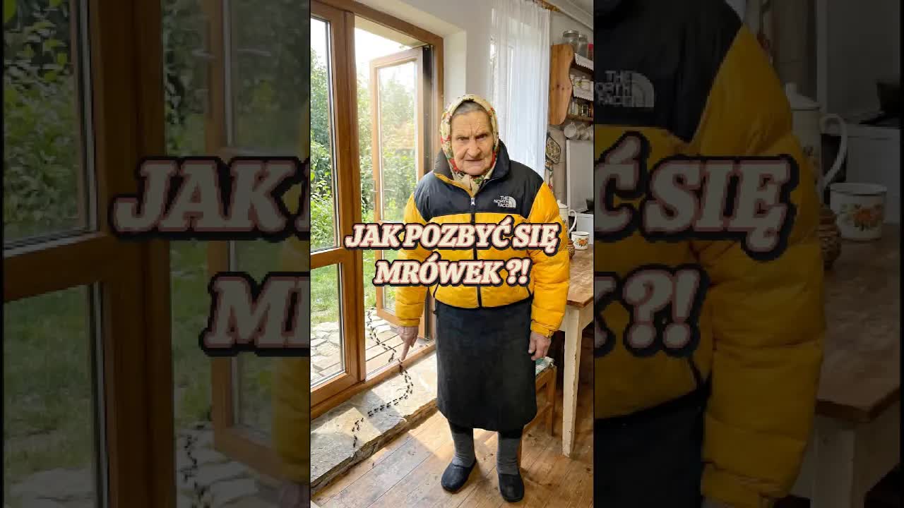 Jak pozbyć się mrówek naturalnie