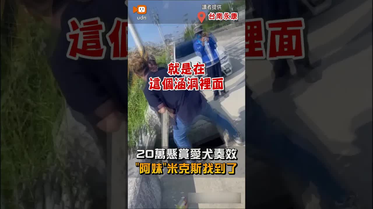 台南愛犬阿妹尋獲 20萬獎金兌現