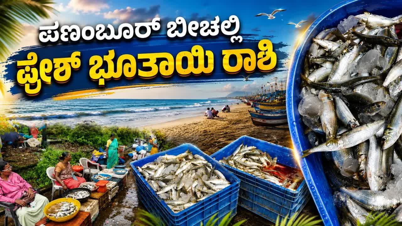 ಪಣಂಬೂರ್ ಬೀಚ್‌ನಲ್ಲಿ ತಾಜಾ ಮೀನು ಖರೀದಿ