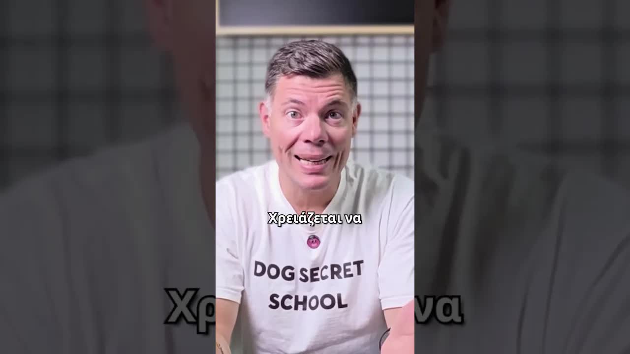 Πώς μαθαίνουν οι σκύλοι από τις συνέπειες