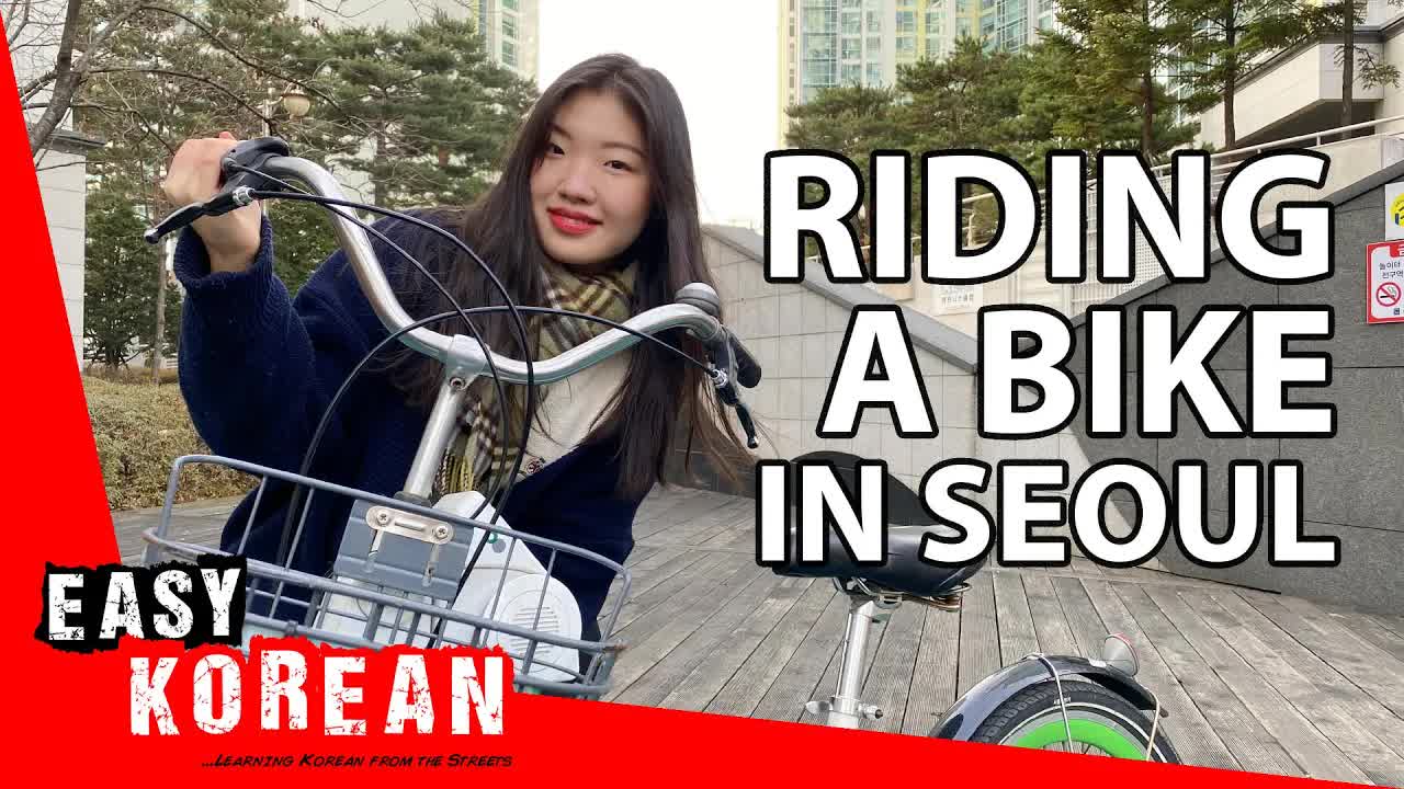 서울에서 따릉이 타고 자전거 여행하기