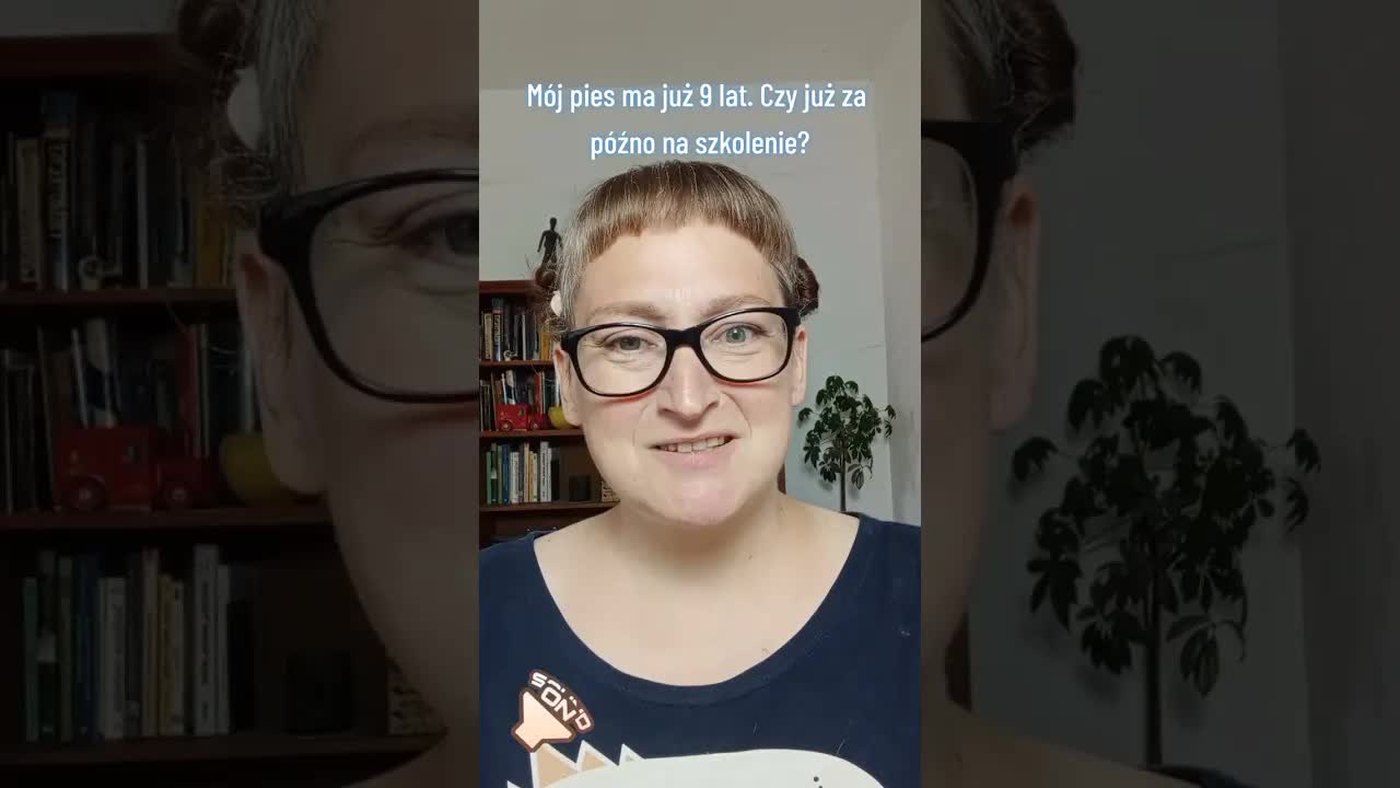 Trening dla starszych psów poprawia jakość życia