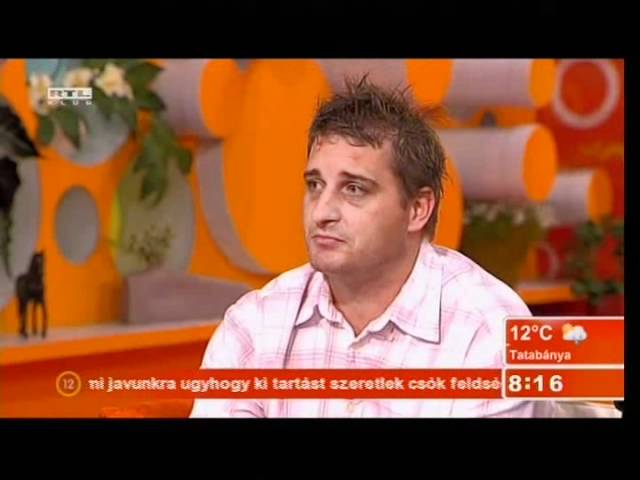 Sportolók beszélgetése és jótékonysági árverés