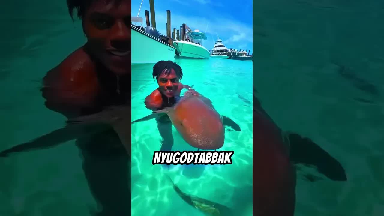 Miért nem támadnak a cápák?