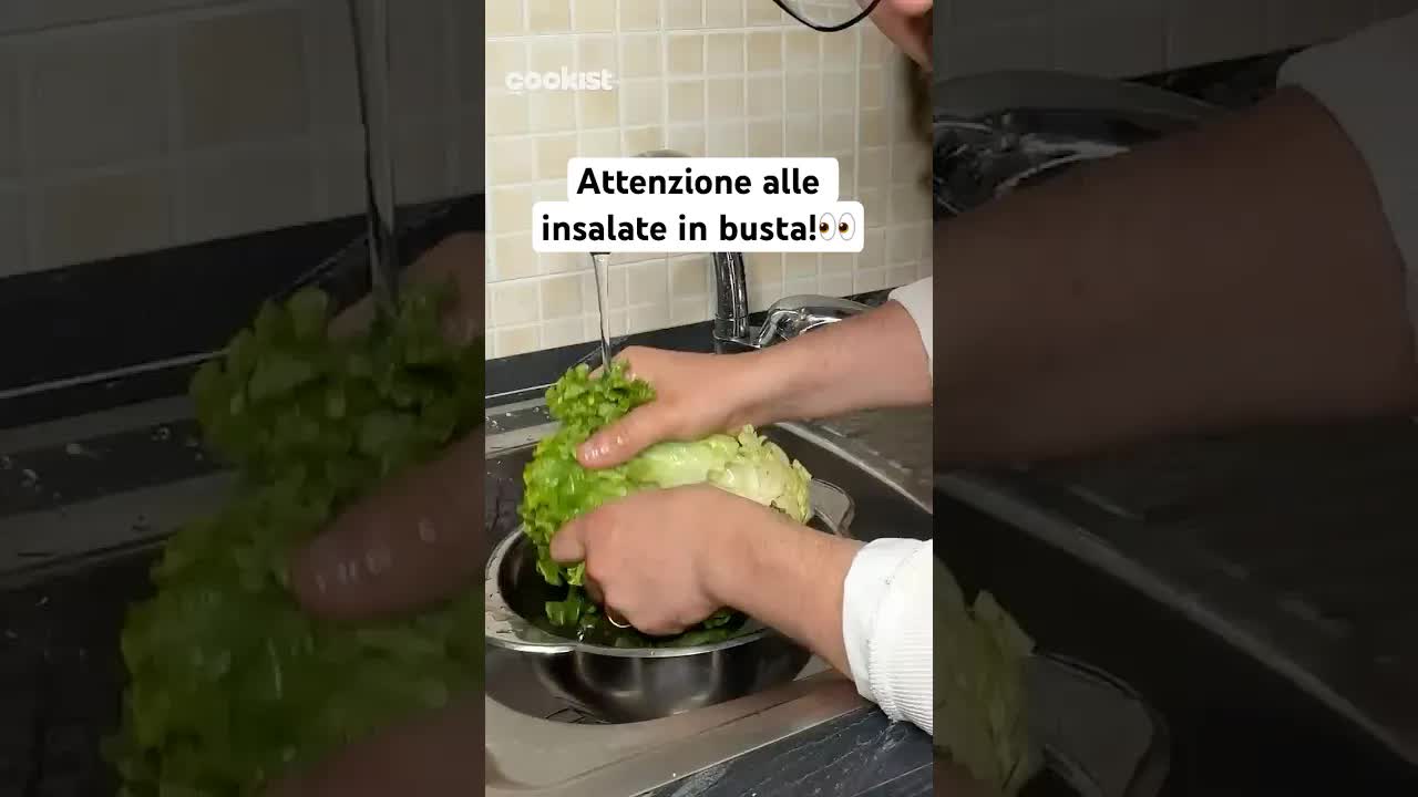 Ciclosporiasi USA: il parassita nelle insalate