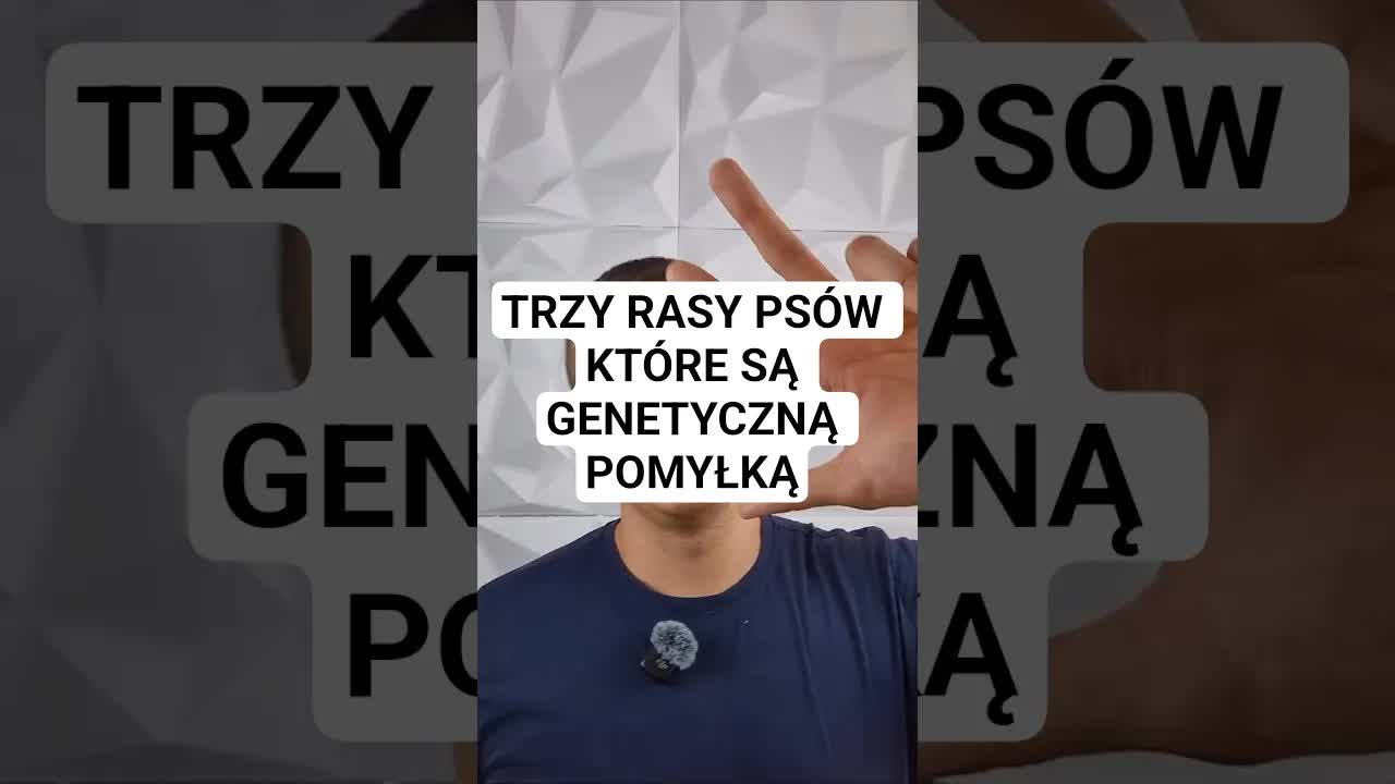 Trzy rasy psów z genetycznymi problemami