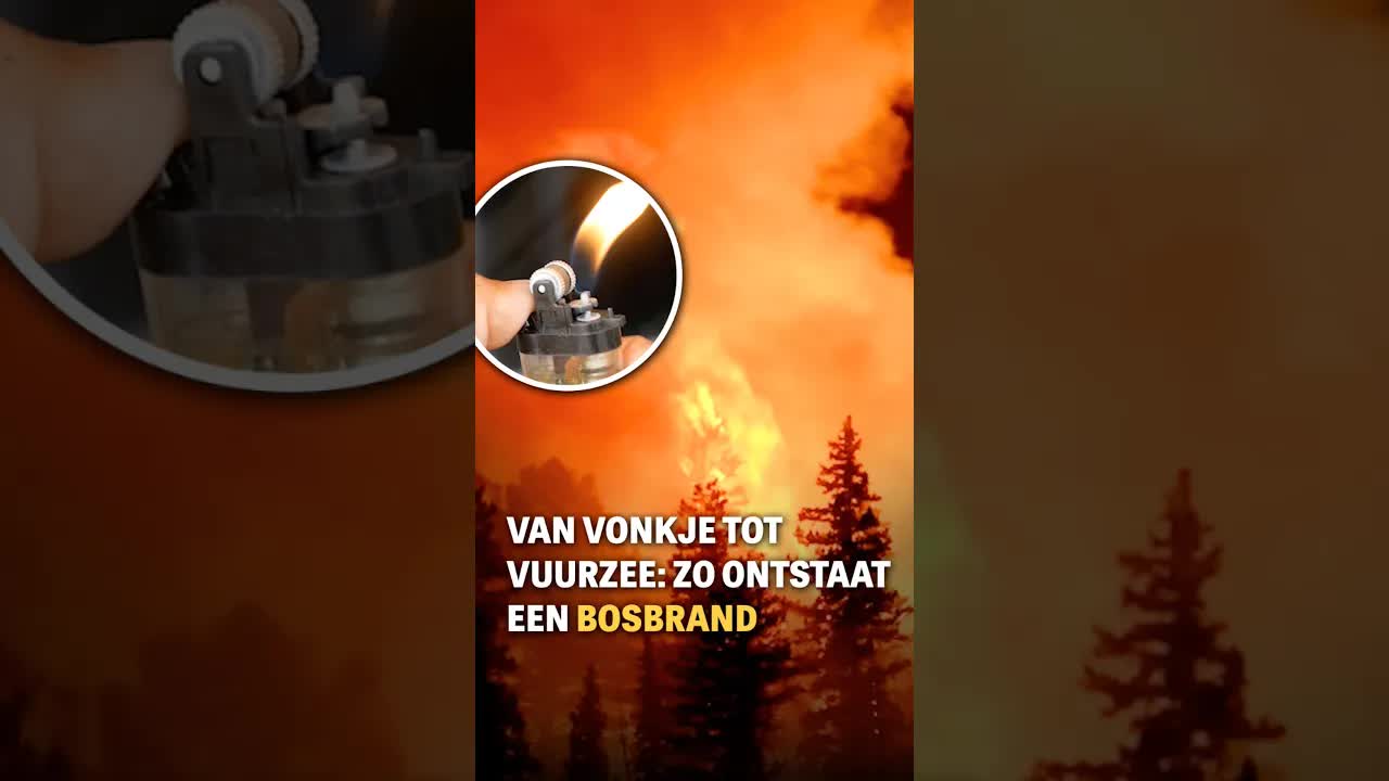 Zo ontstaat een bosbrand