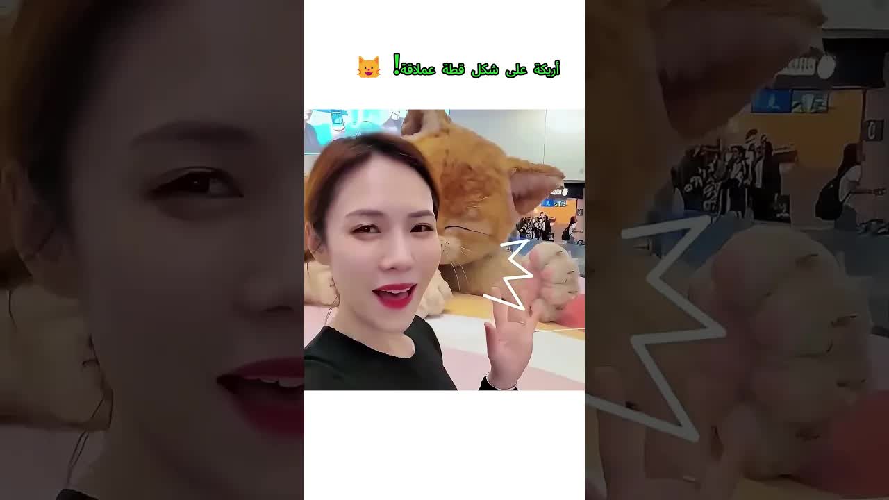 أريكة على شكل قطة عملاقة!