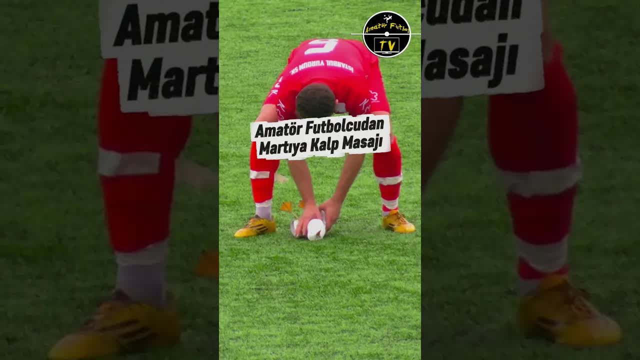 لاعب ينقذ نورسًا بعد إصابته بكرة قوية