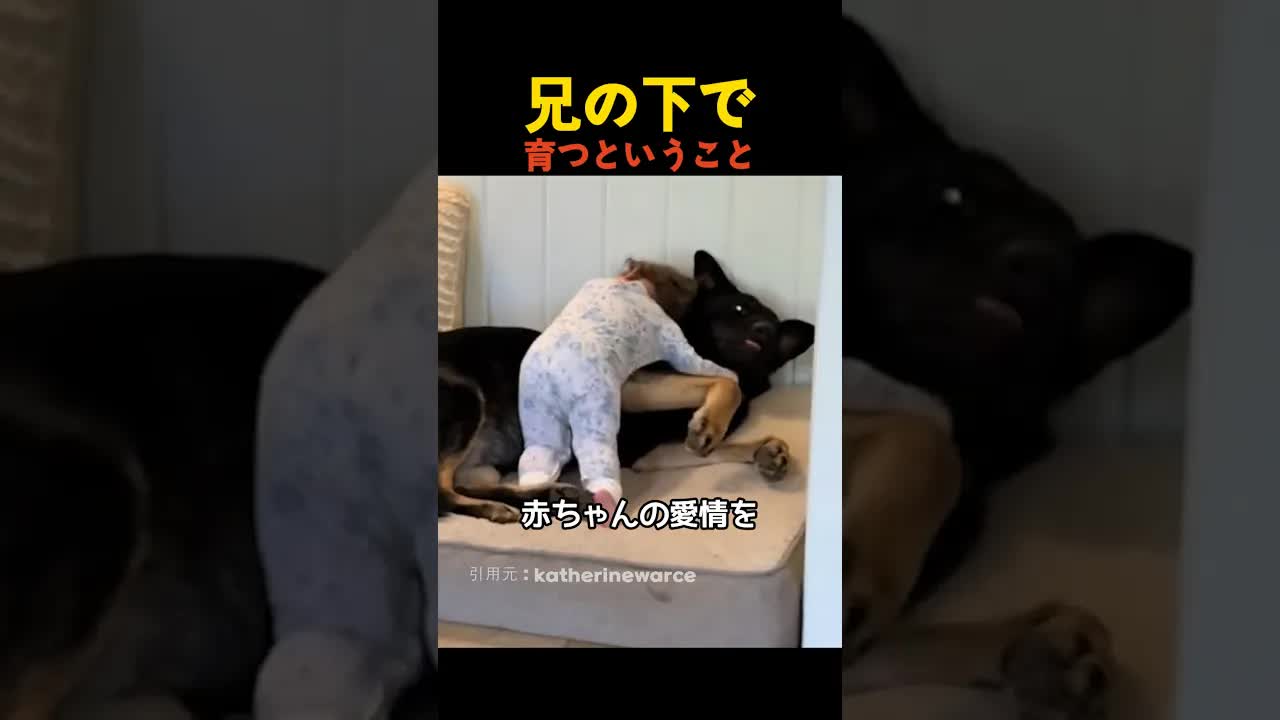 兄の下で弟として生きる切ない気持ち