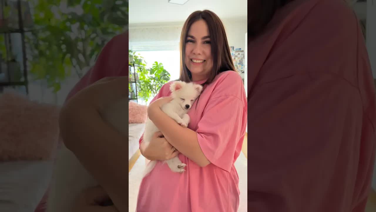 Naša nova psića i planovi za videa