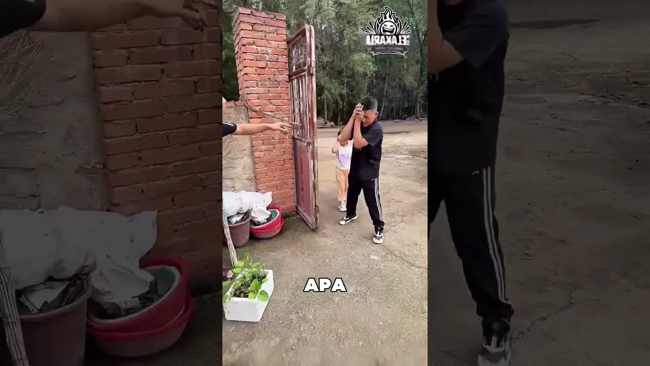 A szellemes kutya története