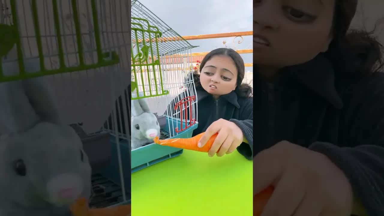 عنتر الأرنب لعبة ولا بيأكل جزر؟