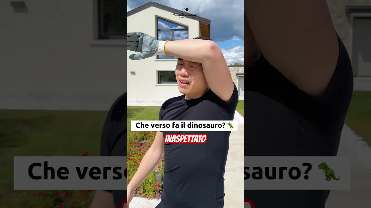 Che verso fa il dinosauro in Cina?