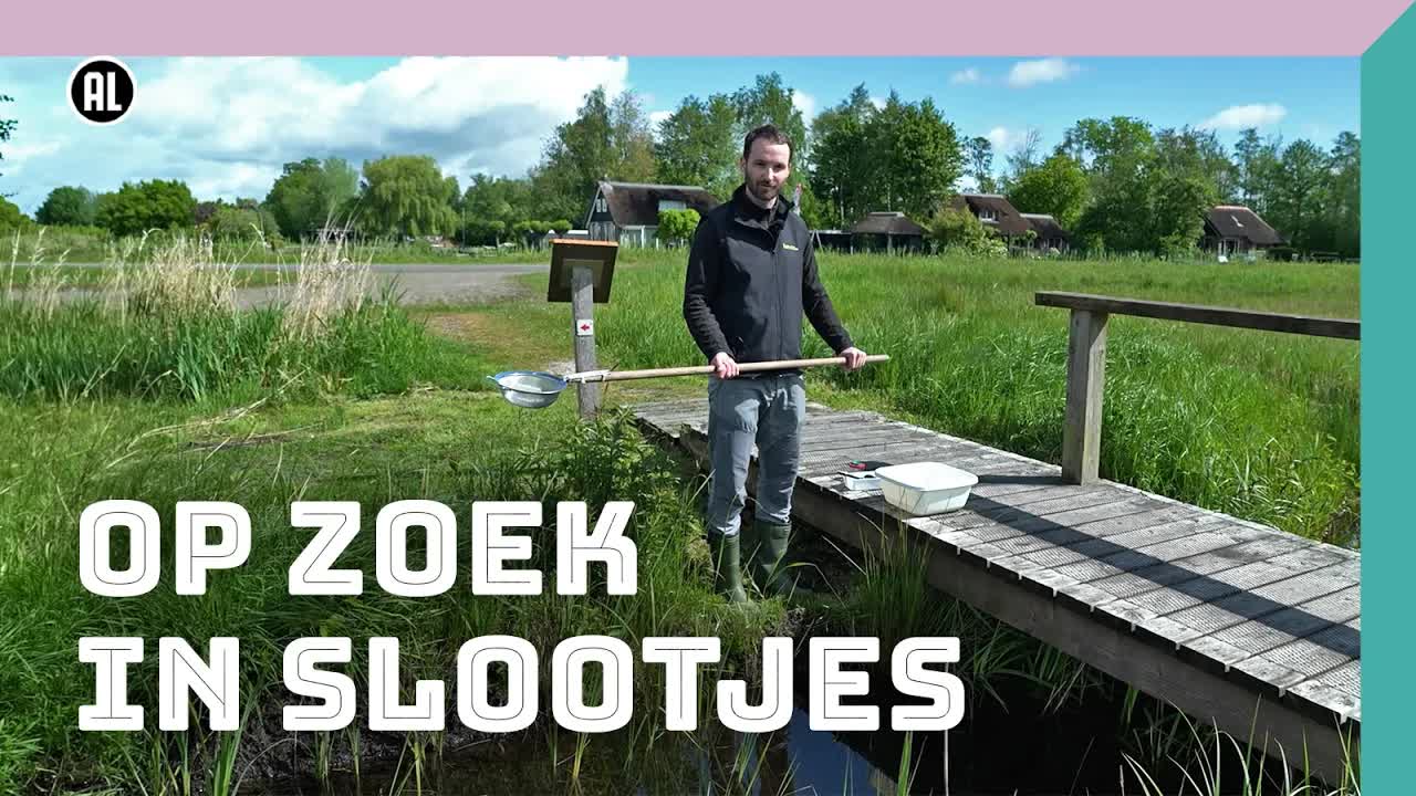 Slootjes onderzoeken met kinderen